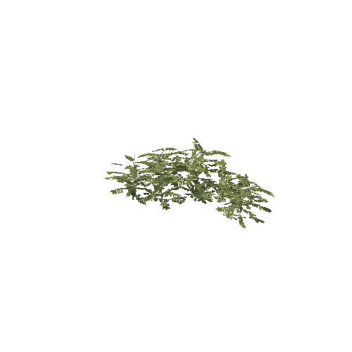 Plant 63_LOD_1